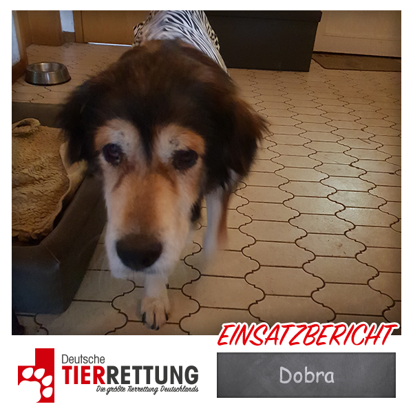 Dobra