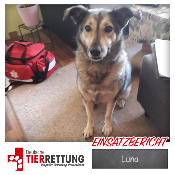 Luna