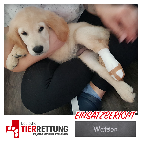 Watson