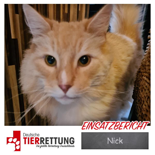 Tierrettung Einsatz: Nick in Gelsenkirchen