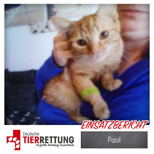 Paul