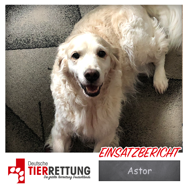 Astor