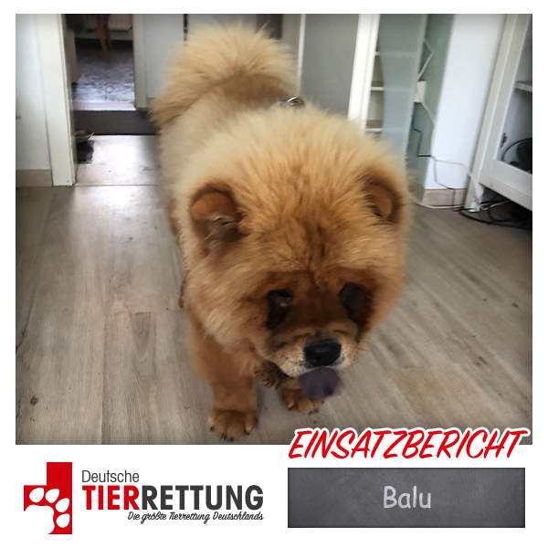Balu
