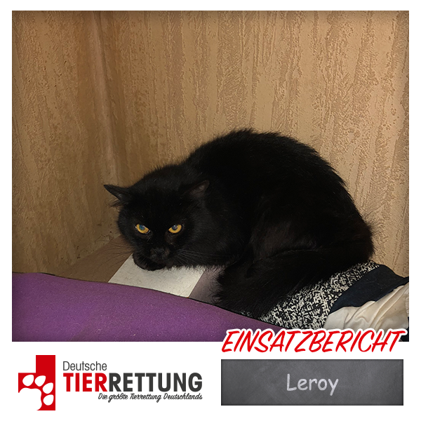 Leroy