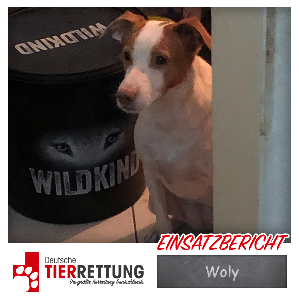 Woly