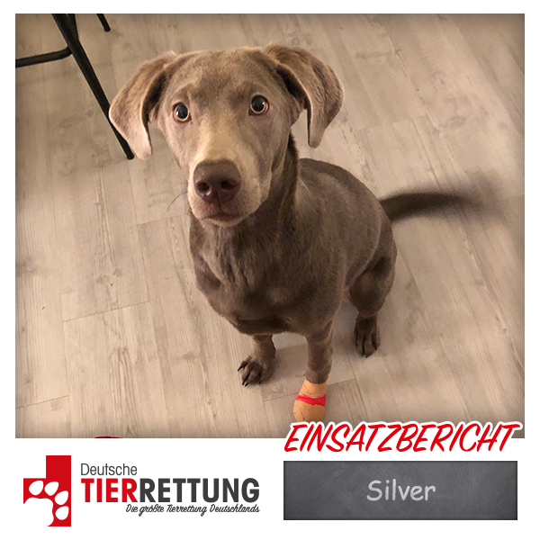 Silver
