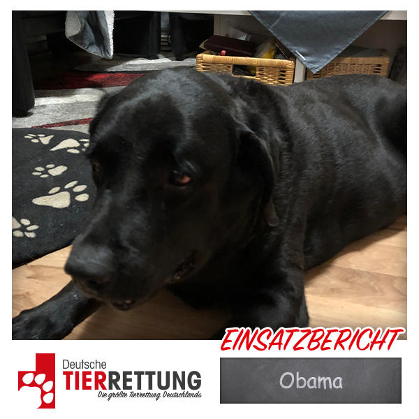 Obama