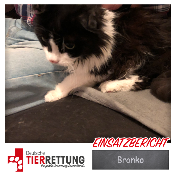 Bronko