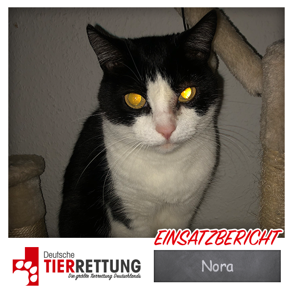 Tierrettung Einsatz: Nora in Duisburg