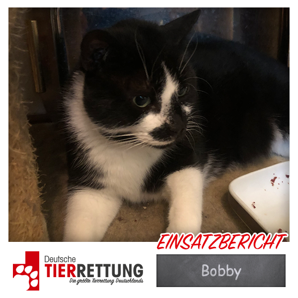 Tierrettung Einsatz: Bobby in Herten