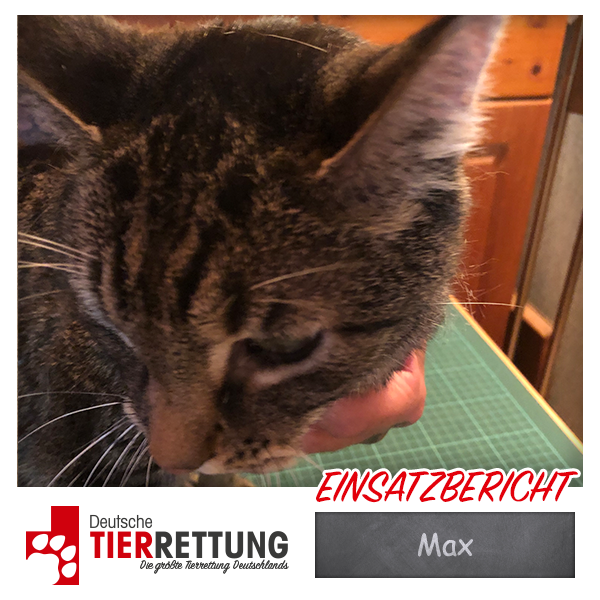 Tierrettung Einsatz: Max in Moers