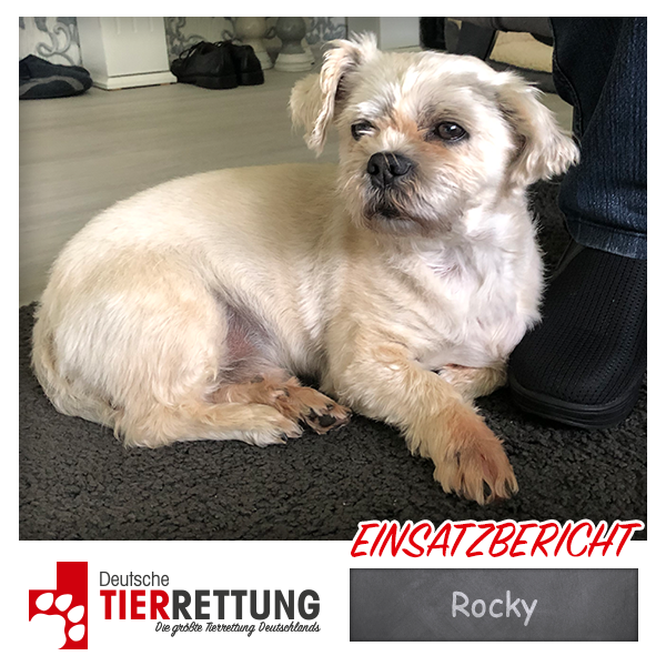 Tierrettung Einsatz: Rocky in Mülheim a.d.Ruhr
