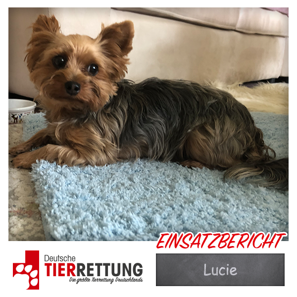 Tierrettung Einsatz: Lucie in Bottrop