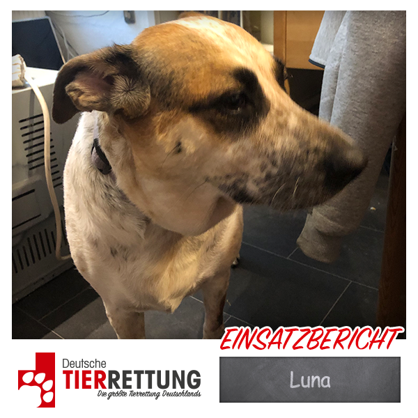 Tierrettung Einsatz: Luna in Duisburg