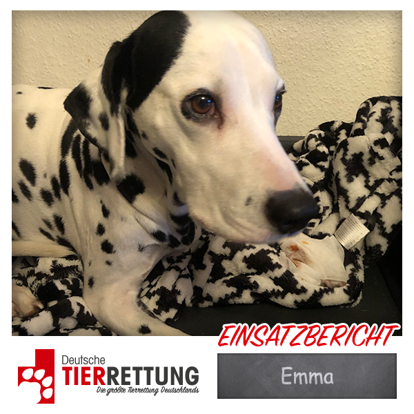 Tierrettung Einsatz: Emma in Velbert
