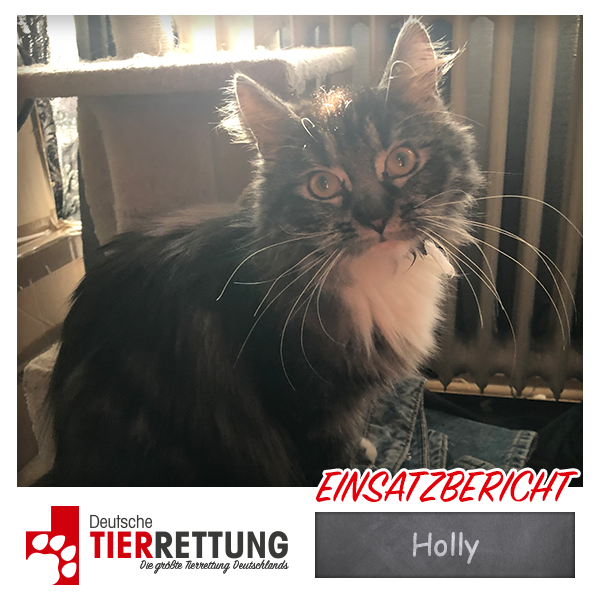 Tierrettung Einsatz: Holly in Herne