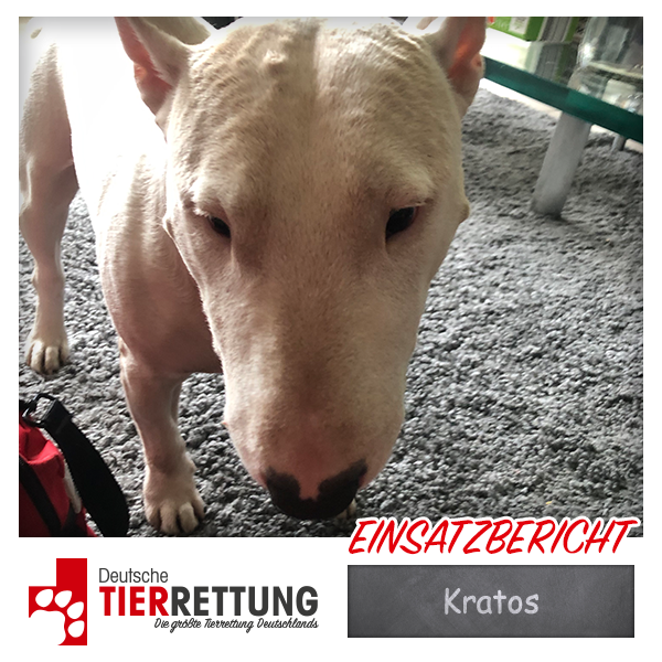Tierrettung Einsatz: Kratos in Münster
