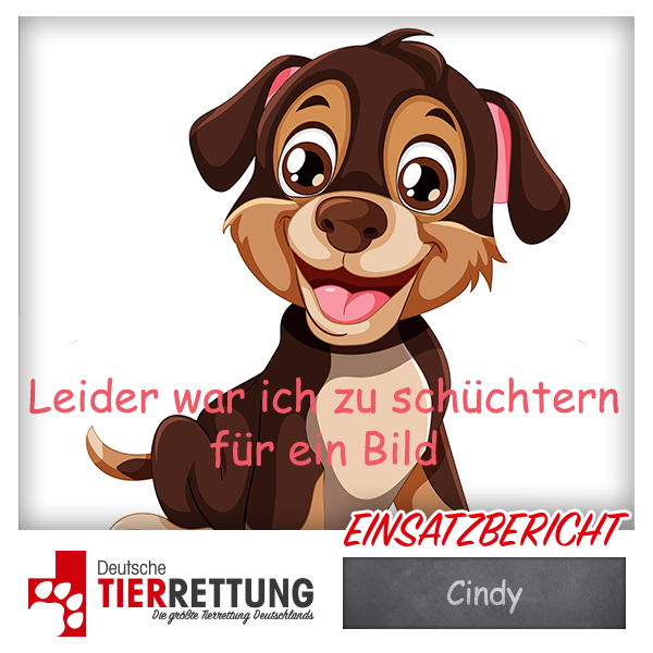 Tierrettung Einsatz: Cindy in Neuss