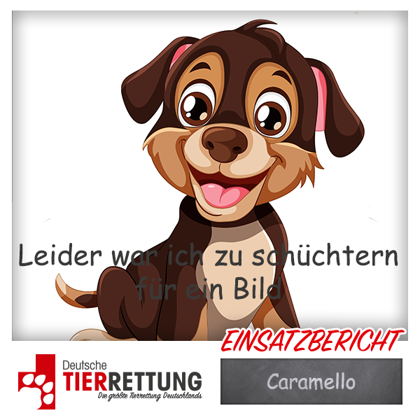 Tierrettung Einsatz: Caramello in Mülheim