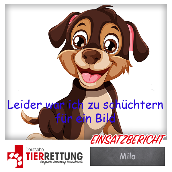 Tierrettung Einsatz: Milo in Castrop-Rauxel