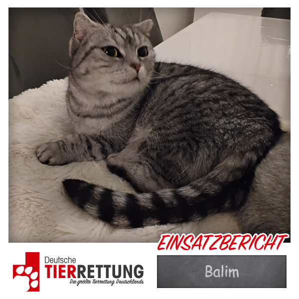 Tierrettung Einsatz: Balim in Marl