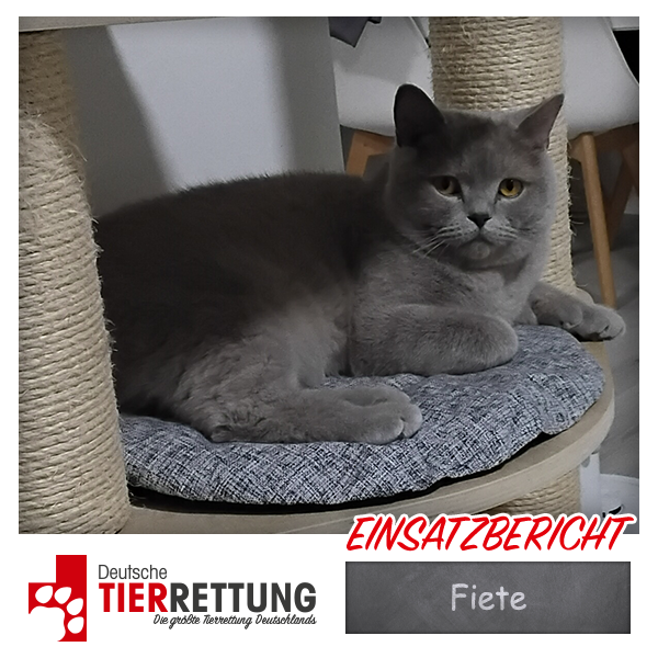 Tierrettung Einsatz: Fiete in Oberhausen