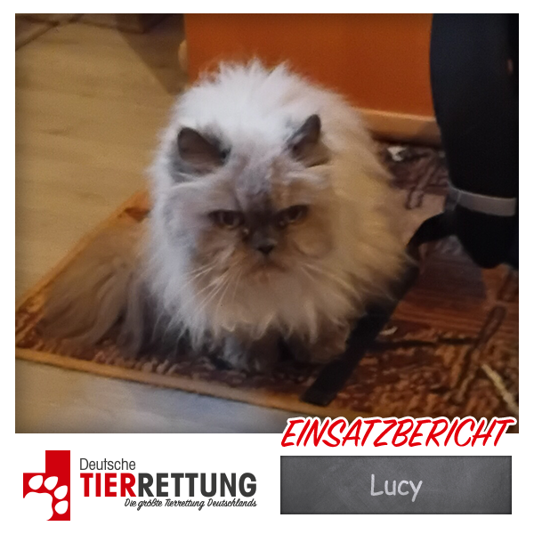 Tierrettung Einsatz: Lucy in Gelsenkirchen