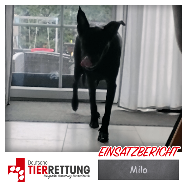 Tierrettung Einsatz: Milo in Rommerskirchen