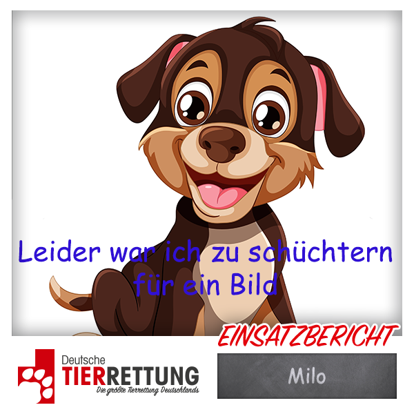 Tierrettung Einsatz: Milo in Rommerskirchen