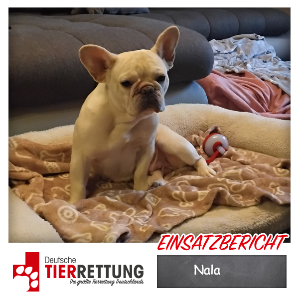 Tierrettung Einsatz: Nala in Duisburg