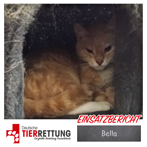 Tierrettung Einsatz: Bella in Duisburg