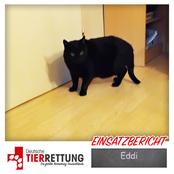 Tierrettung Einsatz: Eddi in Hagen