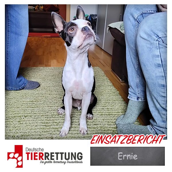 Tierrettung Einsatz: Ernie in Bottrop