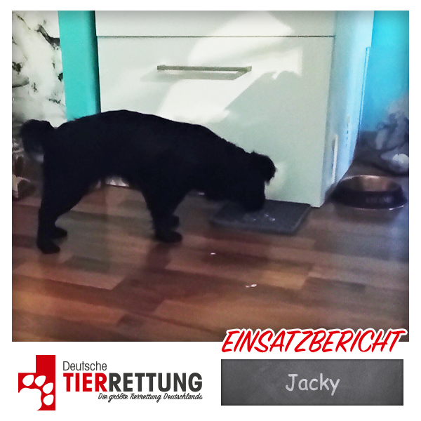 Tierrettung Einsatz: Jacky in Lünen