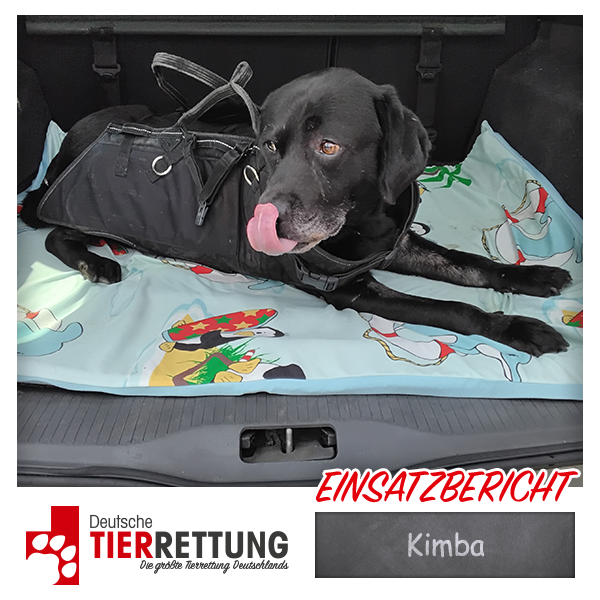 Tierrettung Einsatz: Kimba in Marl