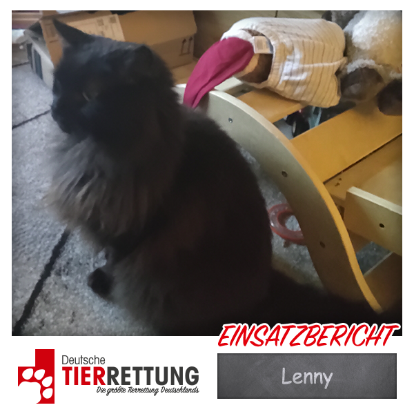 Tierrettung Einsatz: Lenny in Schwerte