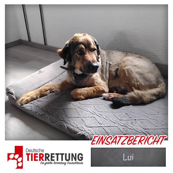 Tierrettung Einsatz: Lui in Castrop- Rauxel