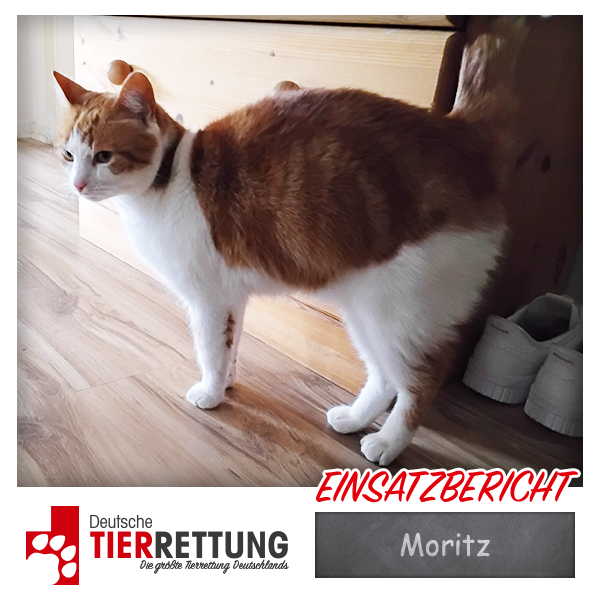 Tierrettung Einsatz: Moritz in Goch