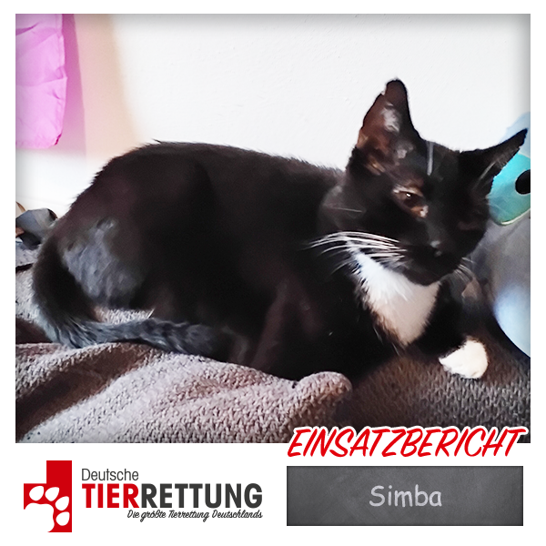 Tierrettung Einsatz: Simba in Gelsenkirchen