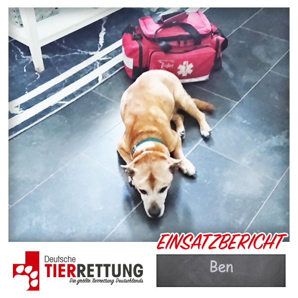 Tierrettung Einsatz: Ben in Waltrop