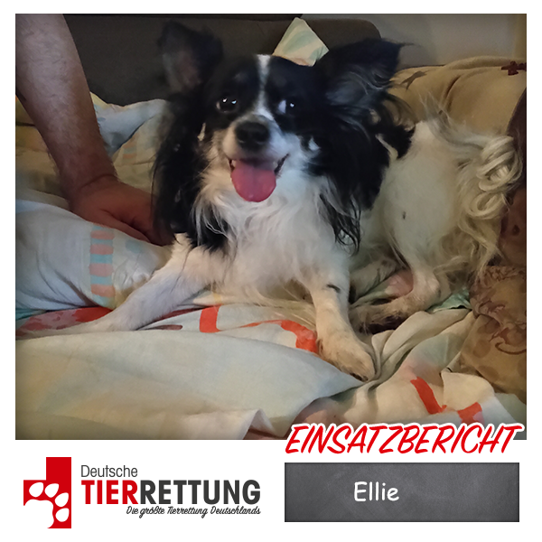 Tierrettung Einsatz: Ellie in Lünen