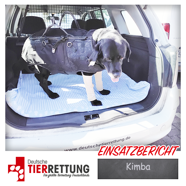 Tierrettung Einsatz: Kimba in Marl