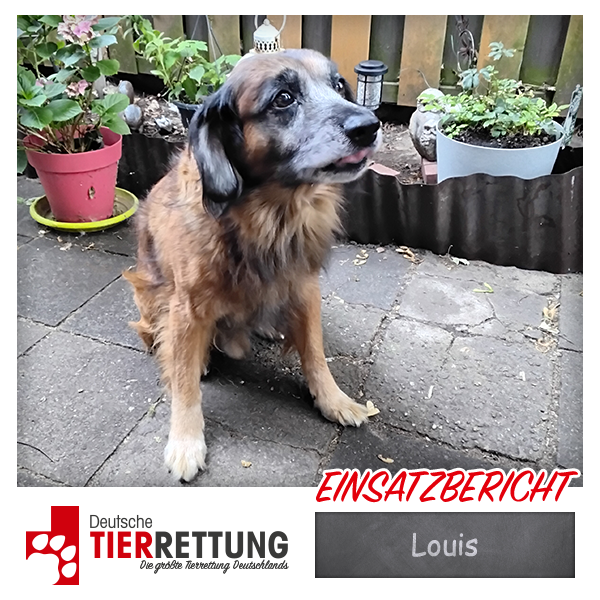 Tierrettung Einsatz: Louis in Duisburg