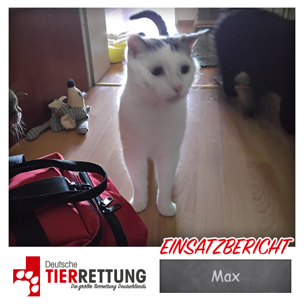Tierrettung Einsatz: Max in Gelsenkrichen