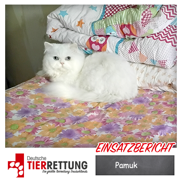 Tierrettung Einsatz: Pamuk in Bochum