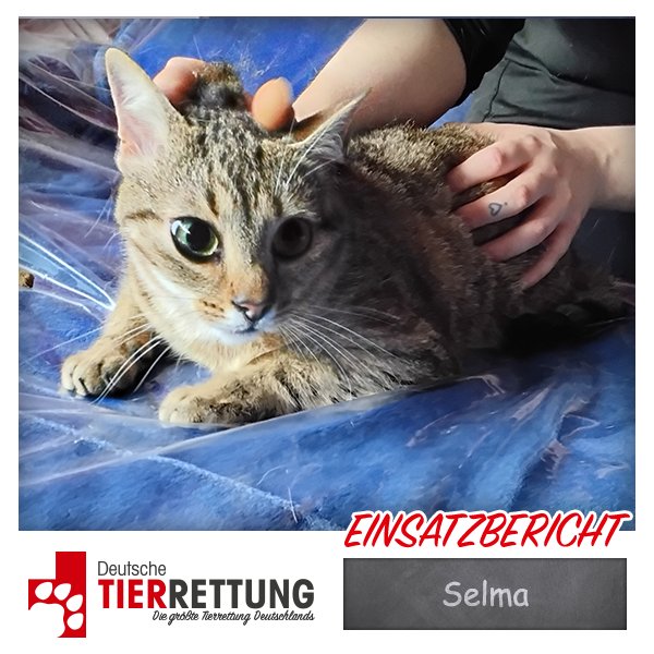 Tierrettung Einsatz: Selma in Marl