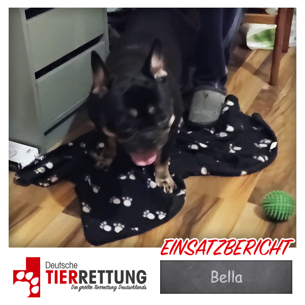 Tierrettung Einsatz: Bella in Hagen