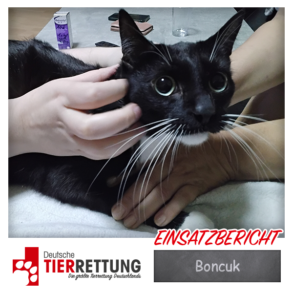 Tierrettung Einsatz: Boncuk in Dortmund