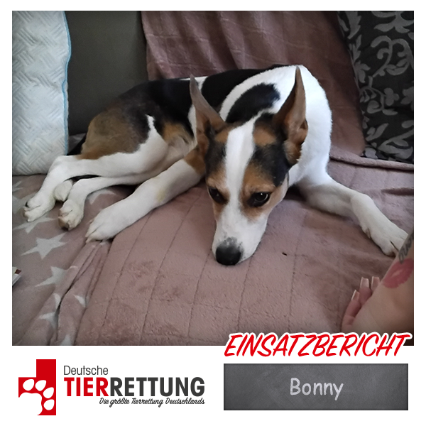 Tierrettung Einsatz: Bonny in Mülheim a.d. Ruhr