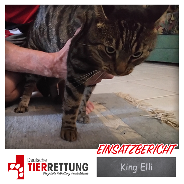 Tierrettung Einsatz: King Elli in Coesfeld